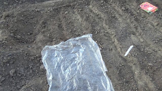 Что можно посеять в ноябре в теплице? смотреть онлайн