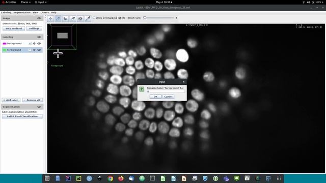 Labkit: Labeling and Segmentation Toolkit for Big Image Data смотреть онлайн