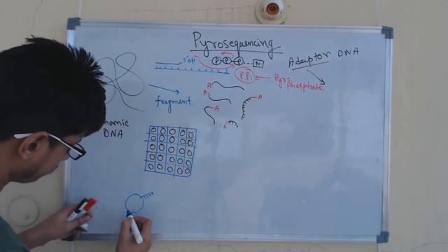 Pyrosequencing смотреть онлайн
