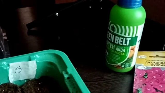 посадка петунии 15 января 2022 года смотреть онлайн