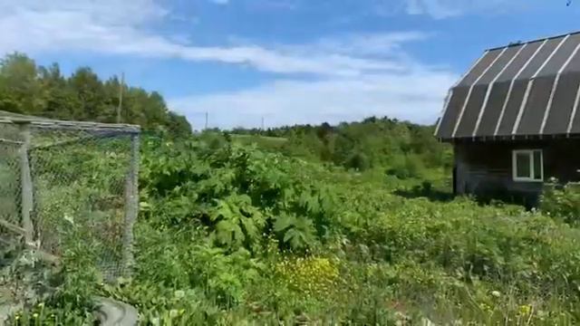 Проморолик. Обзор участка для ИЖС в Третьей Пади рядом с морем. смотреть онлайн