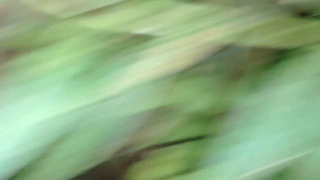 Очистка трубы под дорогой смотреть онлайн