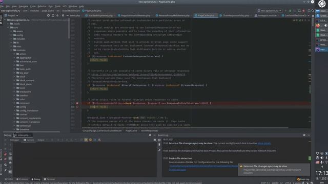 Отладка кеша страниц Drupal с PHPStorm+XDebug / Drupal Page Cache Debugging in PHPStorm+XDebug смотреть онлайн