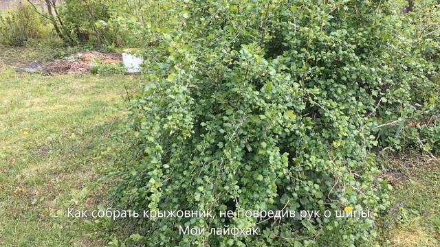 Домашний дизайнер