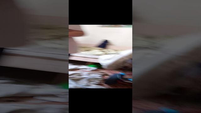 друг мне подарил подарок (часть 2) смотреть онлайн