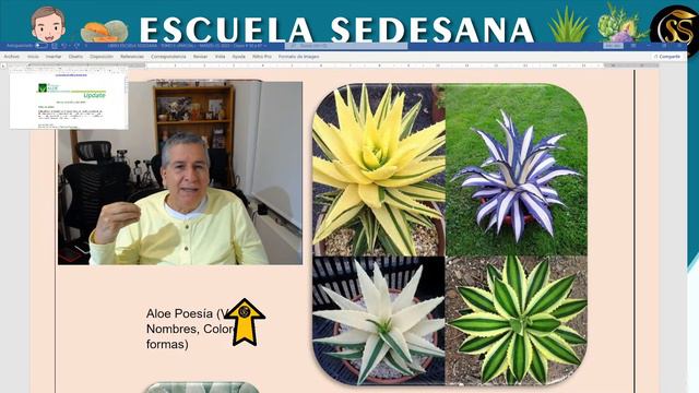E.S. CLASE # 67 - 85 CLASES DE SÁBILA - 85 CLASES DE ALOE VERA - 2DA PARTE - 25 MARZO-2023 смотреть онлайн