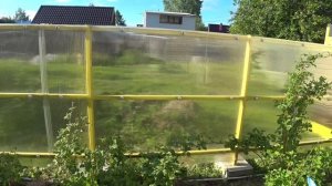 ЗАБОР ИЗ ПОЛИКАРБОНАТА, КОТОРЫЙ ЛЮБЯТ ГРЯДКИ.