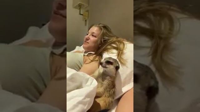 164092558_128760132465086_5194169321965072219_n