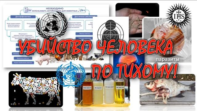 УБИЙСТВО ЧЕЛОВЕКА ПО ТИХОМУ! смотреть онлайн