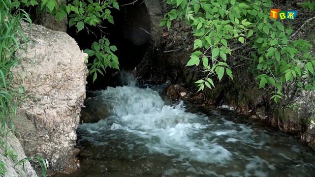 МОР смотреть онлайн