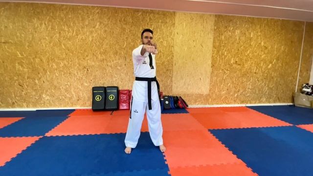 Блоки в тхэквондо. смотреть онлайн