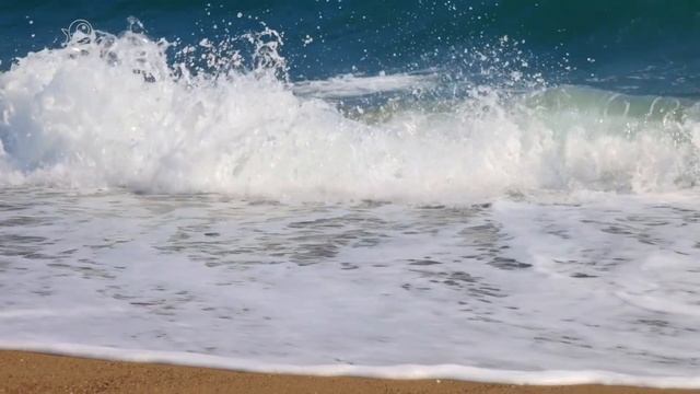 Osho Sat Chit Anand Os Cinco Mantras Mais Relevantes E Profundos #OshoBrasil #Mantras смотреть онлайн