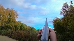 Моменты выстрелов по уткам. Видно полет дроби.