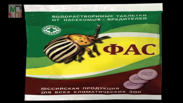 Простое средство для борьбы с клопами, тараканами и муравьями дома смотреть онлайн