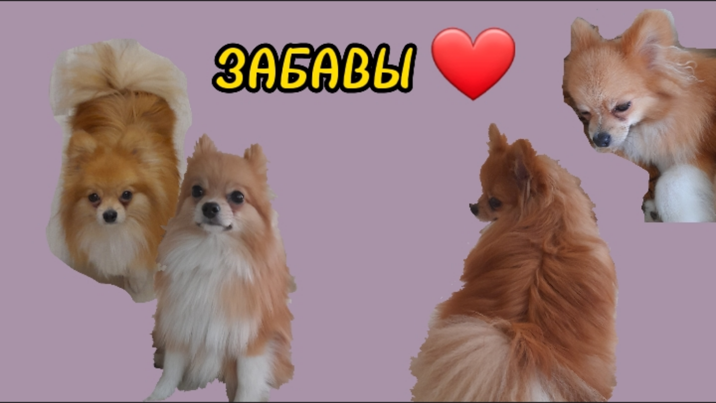 Лайкины Забавы(Сборник)