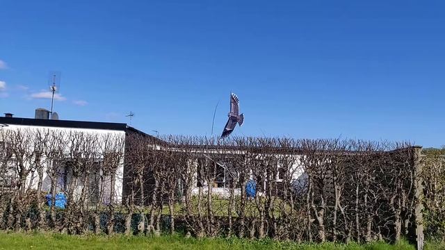 Воздушный змей для отпугивания птиц смотреть онлайн