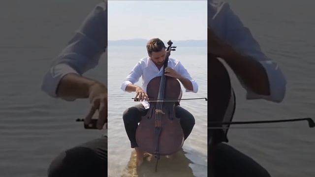Halellujah for Stjepan Hauser смотреть онлайн