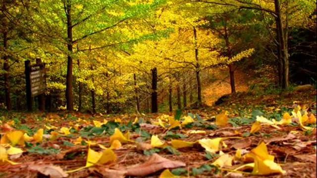 Autumn Leaves - Coleman Hawkins смотреть онлайн