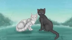 Пары котов воителей