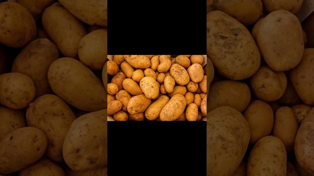 "Powering Up with Potatoes: Exploring the Nutritional Benefits of this Versatile Vegetable" смотреть онлайн