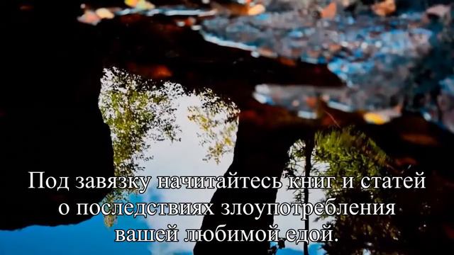 Как начать худеть Советы психолога — Статья смотреть онлайн