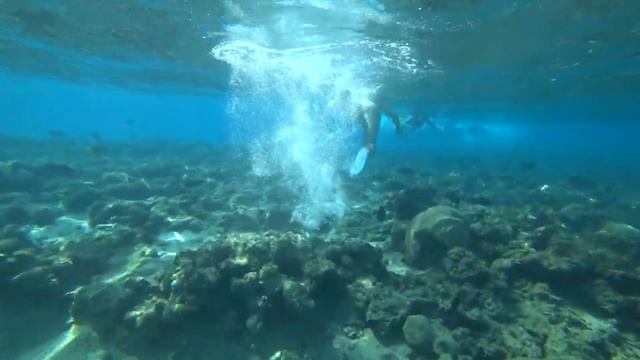 Novotel Beach 5* / Новотель Бич 5* / Наама Бей / Шарм Эль Шейх / Египет смотреть онлайн