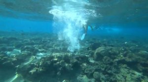 Novotel Beach 5* / Новотель Бич 5* /  Наама Бей / Шарм Эль Шейх / Египет