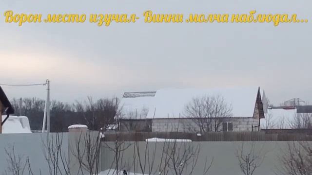 Секреты Таланта