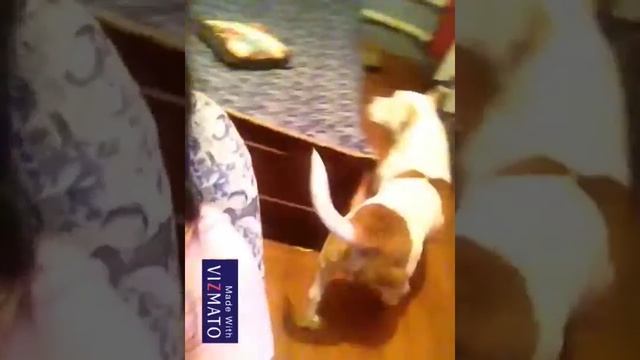 Макияж готов подводим итоги смотреть онлайн