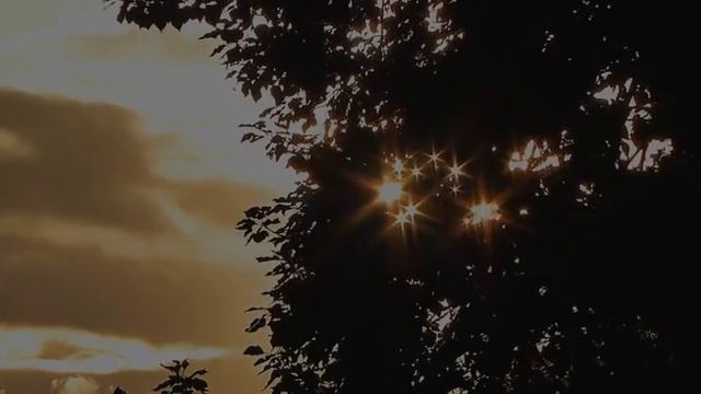 Седа Асхабова - БIаьсте ер ю. Чеченский и Русский текст. смотреть онлайн