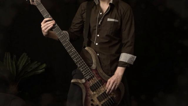 Soilwork – Soilworker's Song Of The Damned – bass cover смотреть онлайн