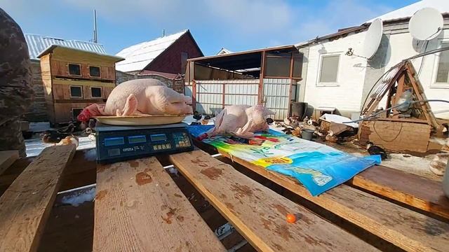 отвез подарки сестре и брату!! смотреть онлайн