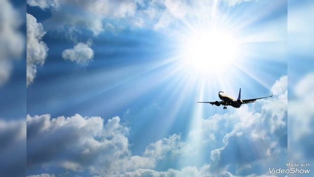 Ольга Паншина - 