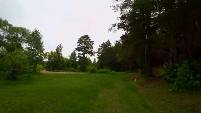Парк деревянных скульптур Лукоморье смотреть онлайн