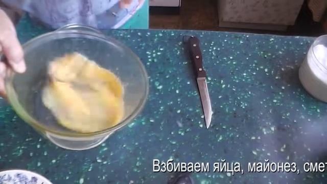 Животные в Зоопарках