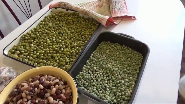 63/19 Как применить горох, выращенный на огороде смотреть онлайн