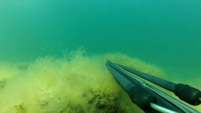 Подводная охота в Каспийском море, август 2012 г. смотреть онлайн