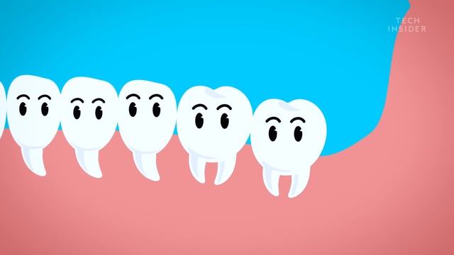 Why Do Wisdom Teeth Suck? смотреть онлайн