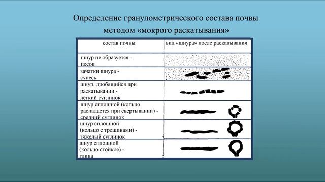 Как самостоятельно создать красивые композиции из хвойных и лиственных растений на участке ч1, з 4 смотреть онлайн