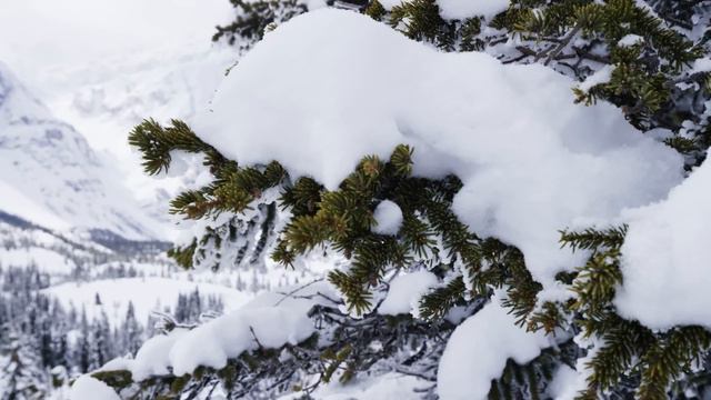 Alberta Canada - Banff Frozen In Time In 4K!   DEVINSUPERTRAMP