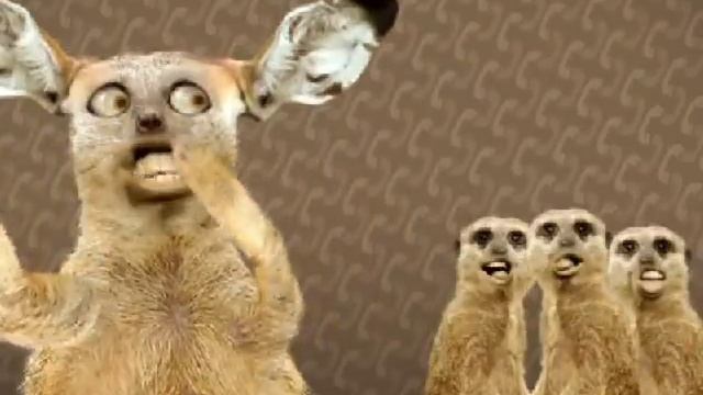 Animated Spoof Music Video: Numa Cat смотреть онлайн