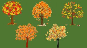 Тема 1. Счёт предметов в пределах 20