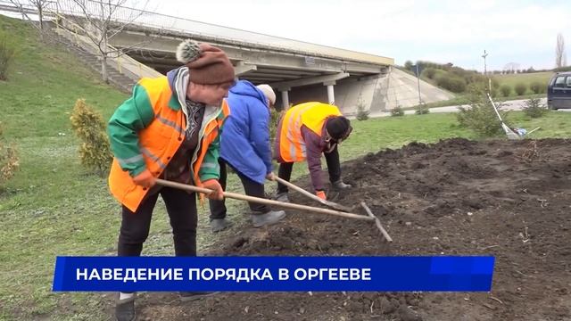 Наведение порядка в Оргееве смотреть онлайн
