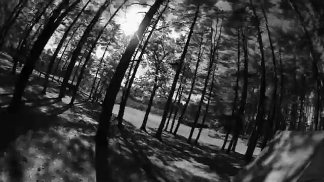 Drone Obstacle Avoidance in Dense Woods смотреть онлайн