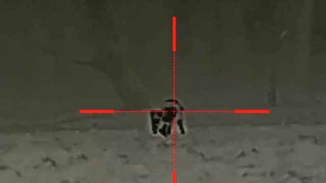 Rico rl42 - 130m смотреть онлайн