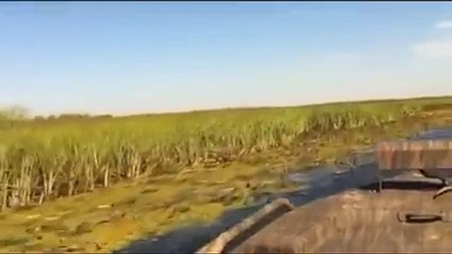 GATOR TAIL VOLGA FIRST смотреть онлайн