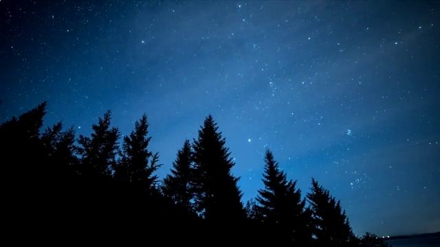 Звёздное небо в лесу! смотреть онлайн