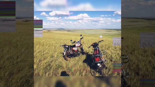 Покатушки на Альфах 2018 смотреть онлайн