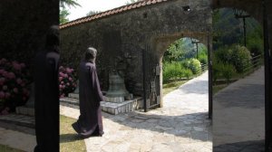 Я в весеннем лесу