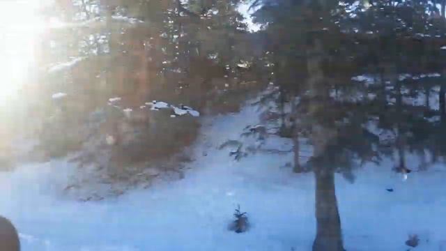 Где живут богатые американцы? США. Аляска . Анкоридж. смотреть онлайн